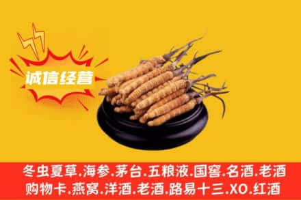 龙岩市回收冬虫夏草